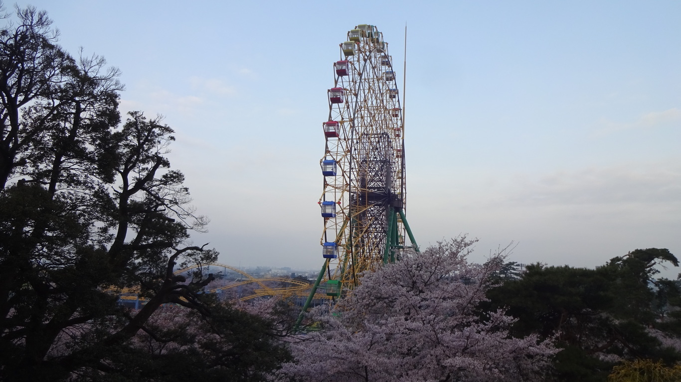 華蔵寺公園の桜 お花見 群馬県ひとり旅日記